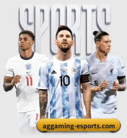 本站五个常用功能入口,赛程查询路径更短 - 多运动项目内容板块 - AGGaming