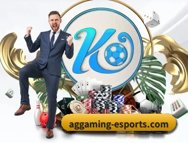 AGGaming 隐私政策与服务边界说明
